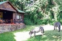 Mount Meru Game Lodge Arusha Exterior photo